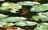   û 